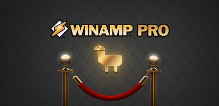 Winamp Pro v.1.4.5