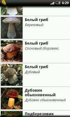 Справочник грибов